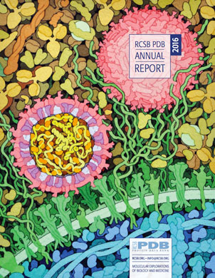 2016 Annual Report Cover