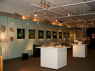 Art of Science exhibit