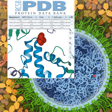 RCSB PDB provides essential tools for finding and analyzing biomolecular structures