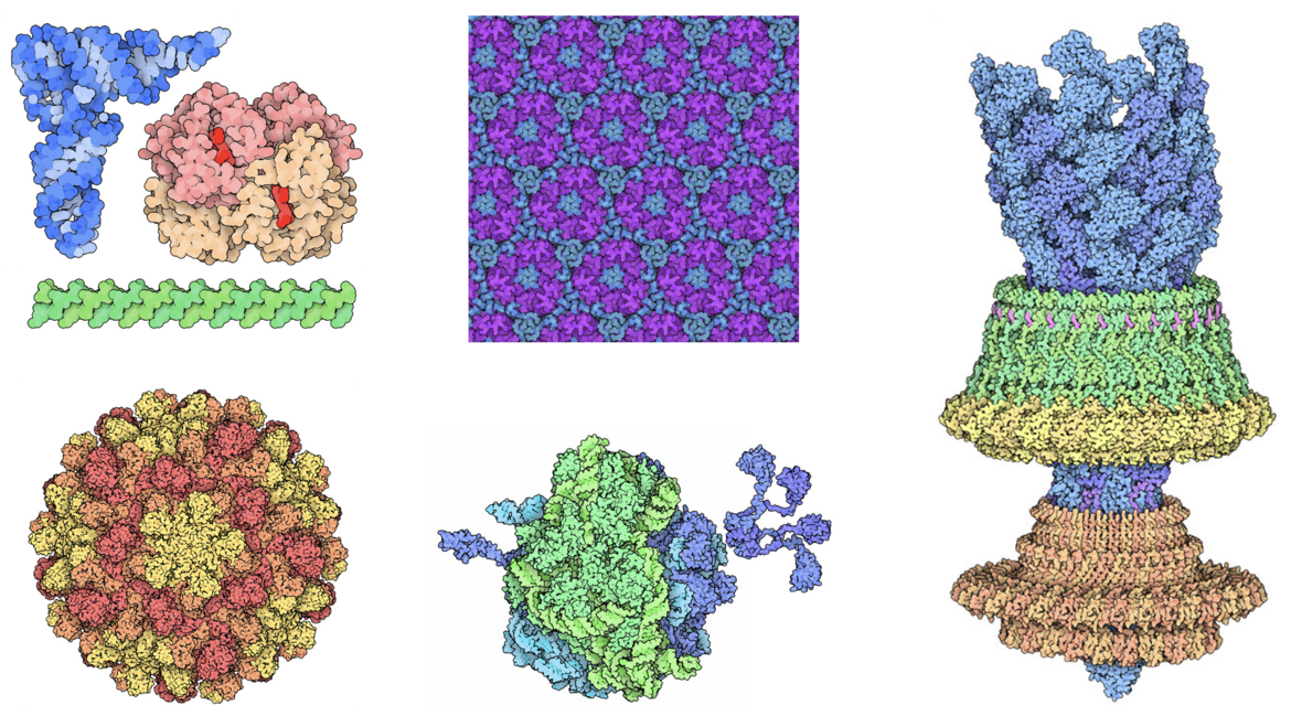 The October 2021 Molecule of the Month looked at highlights over the PDB