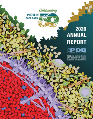 2020 Annual Report Cover