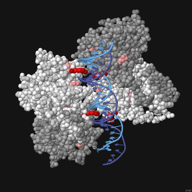 Published quarterly, each <a href="https://pdb101.rcsb.org/learn/education-corner">Education Corner</a> describes of how community members use the PDB and related resources.<BR>
Contact <A href="mailto:info@rcsb.org">info@rcsb.org</a> to contribute.